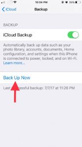 Click on backup Now.