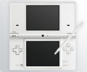 Nintendo DSI Accessories